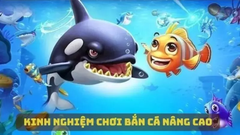 Tổng hợp những kinh nghiệm chơi bắn cá nâng cao, hiệu quả
